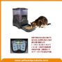 large-capacity automatic pet feeder